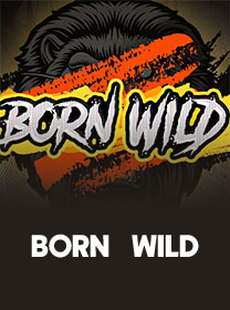 Born Wild Terbaru: Review, RTP, dan Link Bermain